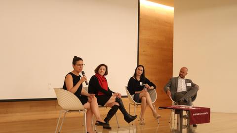 Professor Diane Davis in Mexico event at DRCLAS