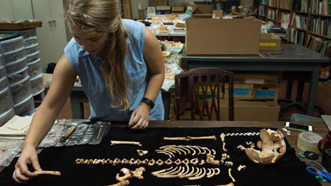 student working with skeletal bones as part of STRI