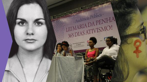 image of a conference regarding Lei Maria da Penha