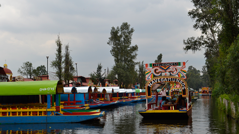 boat on the water in Xochimilco, Mexico