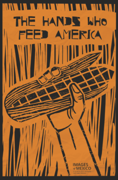 Poster The hands who feed america