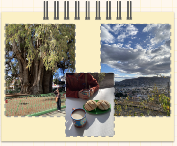 Dariana's journal photos 1