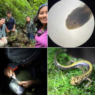 trip