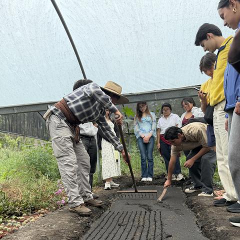 SIP 2025 Mexico Program