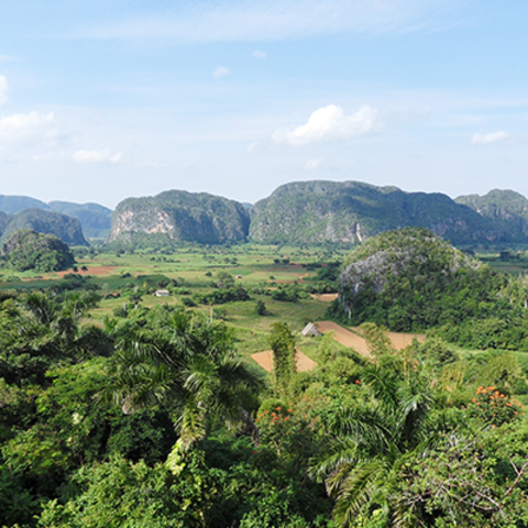 open field of green in cuba