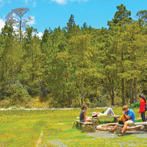 students taking a break in a field during a trip to the Dominican Republic