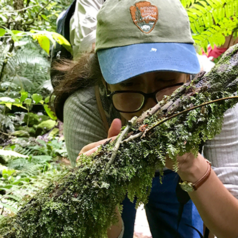 student inspecting branch in the Dominican Republic