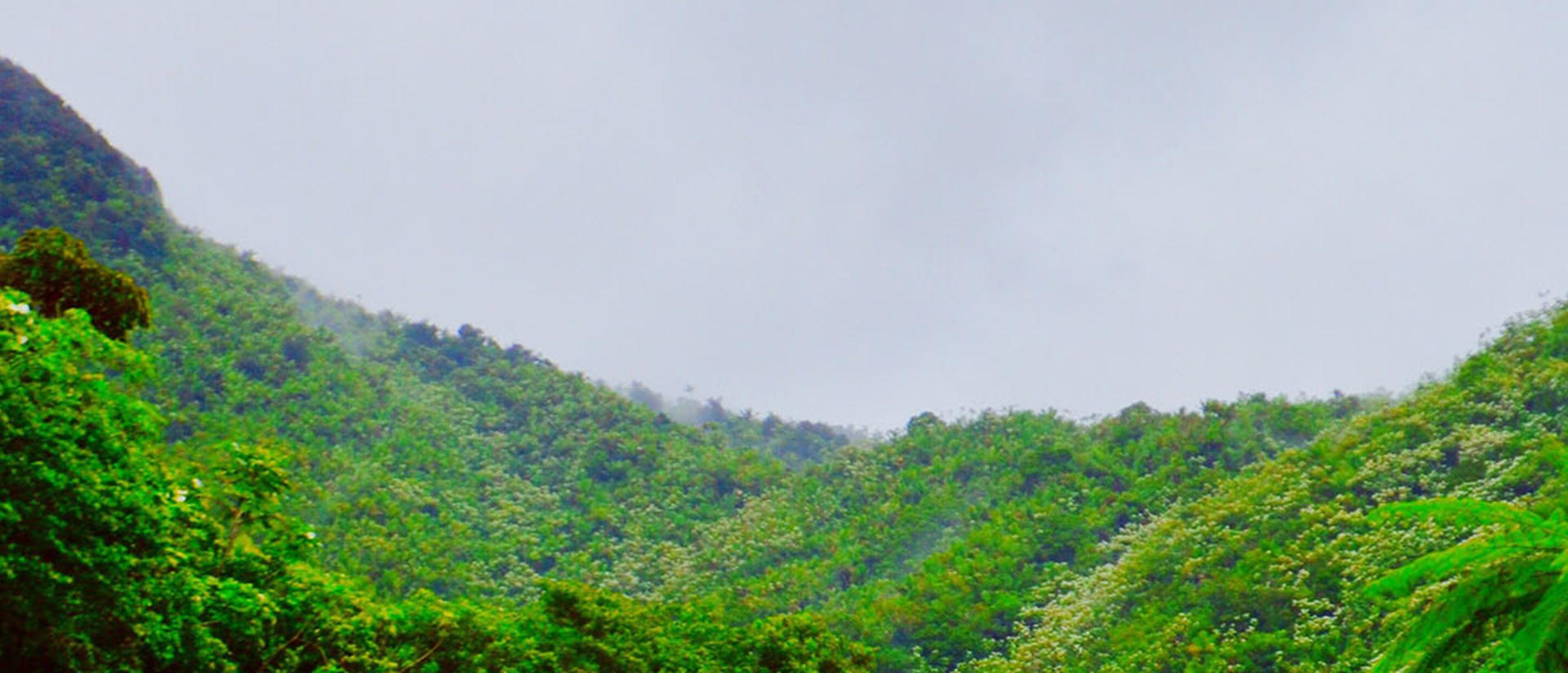Mountain view in Puerto Rico