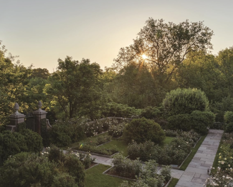 garden